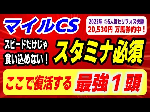 マイルチャンピオンシップ2025【ここで復活する最強１頭】スピードだけじゃ食い込めない！スタミナ兼ね備えたこの馬が… サムネイル