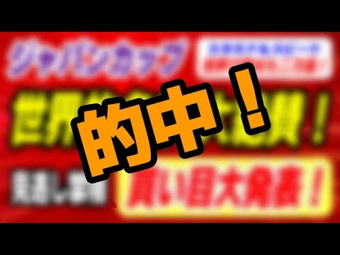 ジャパンカップ2025【世界的名手が絶賛】スタミナ＆スピードを世界で魅せた強い１頭！ サムネイル