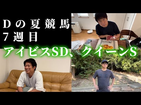 アイビスサマーダッシュ、クイーンステークスまでの1週間！Dの夏競馬7週目。 サムネイル