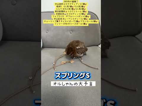 スプリングステークス 競馬 shorts サムネイル