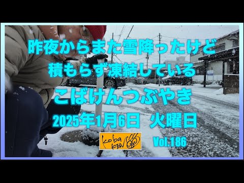 2026年1月6日　火曜日　こばけんつぶやき サムネイル