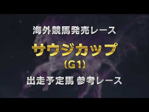 【参考レース】2026年 サウジカップ（G1） ｜ JRA公式 サムネイル