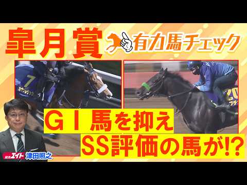 「相当能力が高い！不安要素なし！」 カヴァレリッツォ、ロブチェン、グリーンエナジー・・・競馬エイト津田照之TMと有力馬… サムネイル