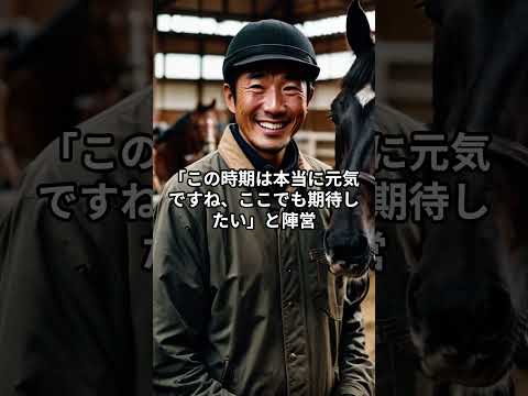 メンバー限定！12月20日の阪神10R推奨馬 サムネイル