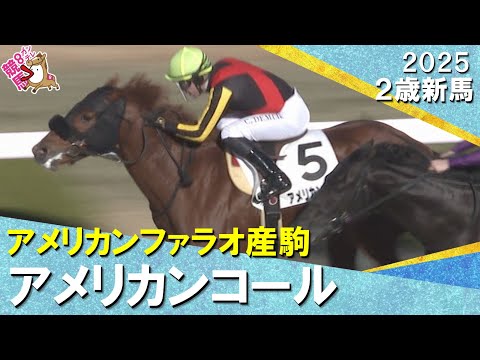 アメリカンコールがド根性の差し返しでデビュー勝ち！Ｃ.デムーロ騎手「まだ良くなると思うので楽しみ」2025年12月27… サムネイル