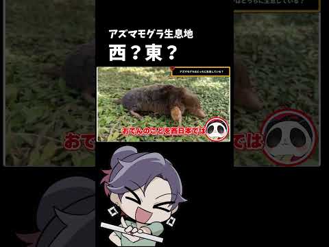 アズマモグラ【東日本VS西日本 どっちだクイズ】【 遊楽天GOTH 西乃うるり 】 サムネイル