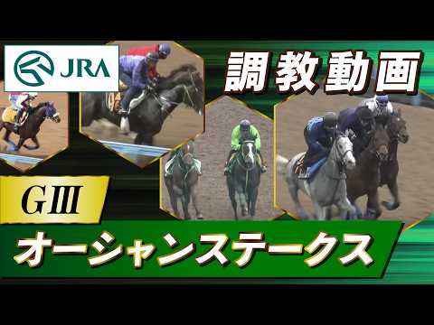 【調教動画】2026年 オーシャンステークス｜JRA公式 サムネイル
