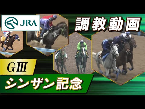 【調教動画】2026年 シンザン記念｜JRA公式 サムネイル