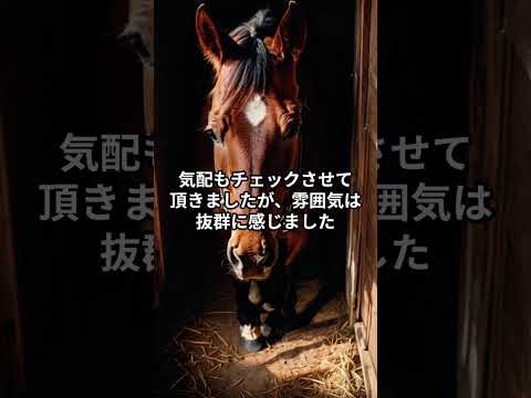 メンバー限定！12月27日の中山大障害の推奨馬 サムネイル