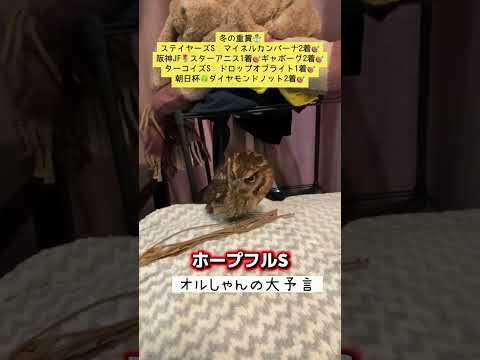 ホープフルステークス 競馬 shorts サムネイル