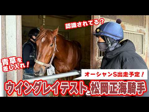 【相棒とのひととき】ウイングレイテストに青草をあげる松岡正海騎手 サムネイル