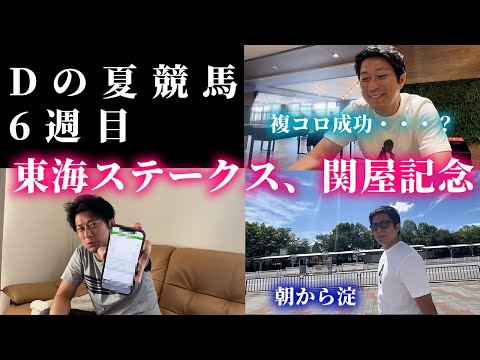 東海ステークス、関屋記念までの1週間。Dは調子を取り戻せるか・・・？ サムネイル