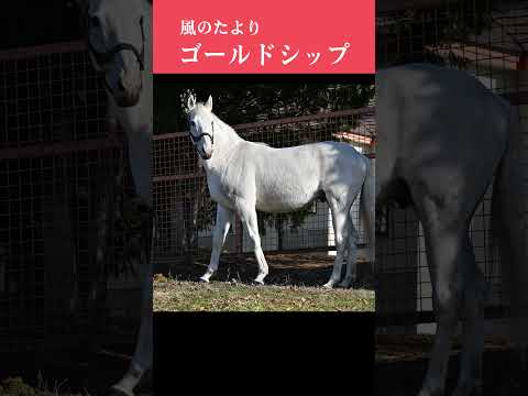 【風のたより】ゴールドシップ サムネイル