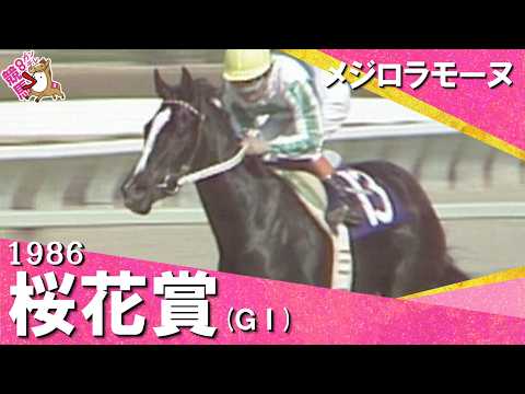 「堂々たる勝利！」1986年 桜花賞 (ＧⅠ) メジロラモーヌ　実況：杉本清【カンテレ公式】 サムネイル