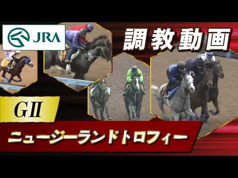 【調教動画】2026年 ニュージーランドトロフィー｜JRA公式 サムネイル