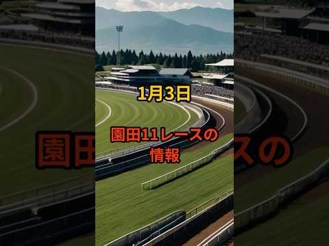 メンバー限定！1月3日の園田11R推奨馬 サムネイル