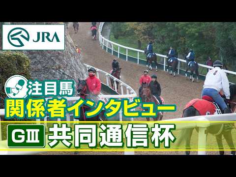 【注目馬 関係者インタビュー】2026年 共同通信杯｜JRA公式 サムネイル