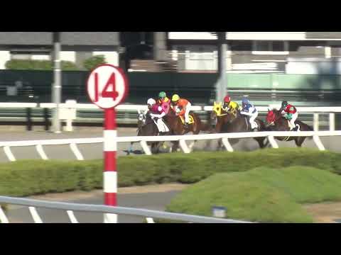 2025年12月4日浦和競馬能力調教試験 サムネイル