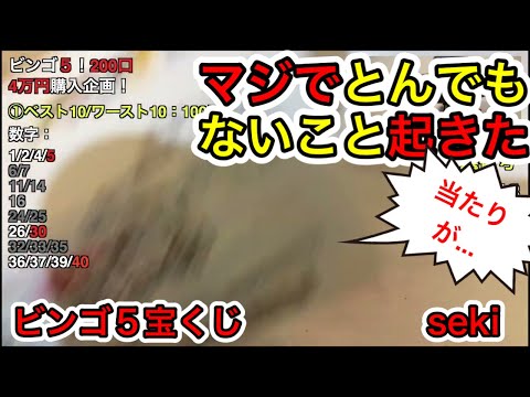 【驚愕の宝くじビンゴ５当選】とんでもないのが2つも起きた！4万円宝くじ大量購入 サムネイル