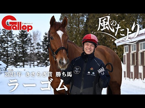 ホースマンを育む　ラーゴム　【風のたより】 サムネイル