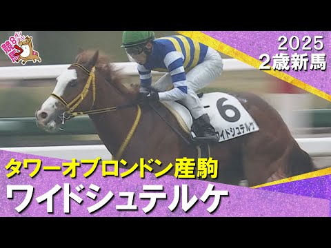 ワイドシュテルケが人気に応えてデビュー勝ち！藤岡佑介騎手「課題らしい課題が見当たりません」2025年12月21日(日)… サムネイル