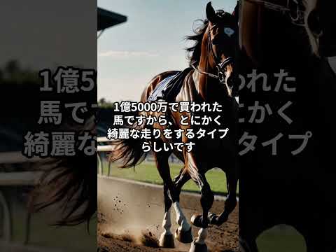メンバー限定！12月20日の中山5R推奨馬 サムネイル