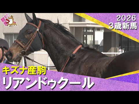 リアンドゥクールが３馬身半差で完勝！ハマーハンセン騎手「まだ子供っぽいところある」2026年2月14日(土)３歳新馬… サムネイル