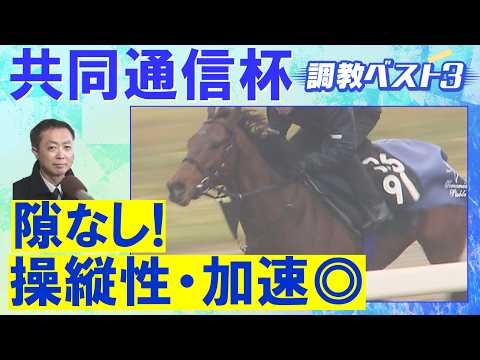 「文句なしの調教過程」ロブチェン、ラヴェニュー、リアライズシリウス・・・競馬エイト・高橋賢司トラックマンの調教解説＜共… サムネイル
