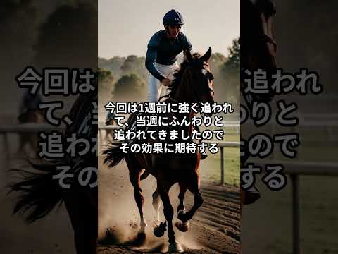 2月1日の京都3R推奨馬 競馬 競馬予想 サムネイル