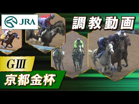 【調教動画】2026年 京都金杯｜JRA公式 サムネイル