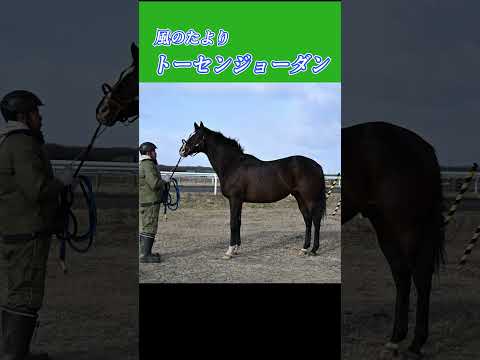 【風のたより】トーセンジョーダン サムネイル