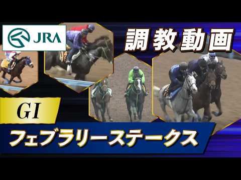 【調教動画】2026年 フェブラリーステークス｜JRA公式 サムネイル