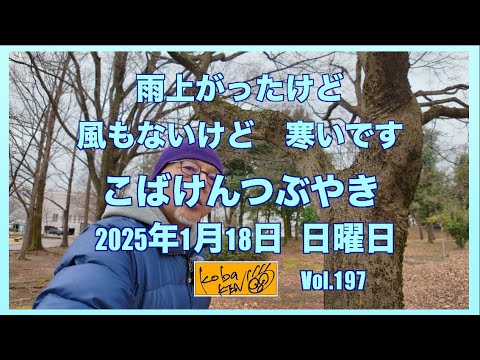 2026年1月18日　日曜日　こばけんつぶやき サムネイル