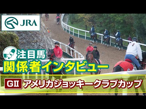 【注目馬 関係者インタビュー】2026年 アメリカジョッキークラブカップ｜JRA公式 サムネイル
