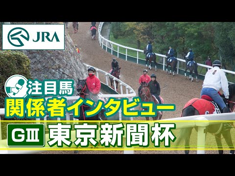 【注目馬 関係者インタビュー】2026年 東京新聞杯｜JRA公式 サムネイル