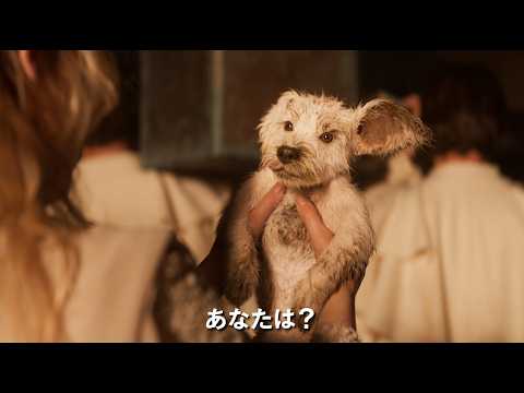 “スーパー”可愛い！『スーパーガール』子犬クリプトの初登場映像解禁 サムネイル