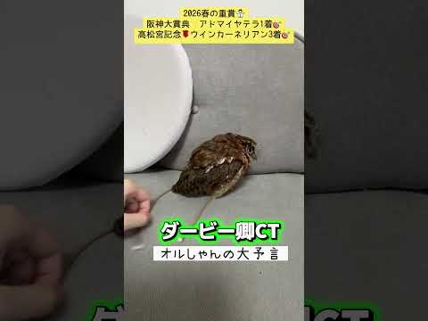 ダービー卿チャレンジトロフィー 競馬 shorts サムネイル
