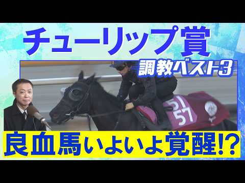 「活気がある！変わり身あり」アランカール、タイセイボーグ、ソルパッサーレ・・・競馬エイト・高橋賢司トラックマンの調教解… サムネイル
