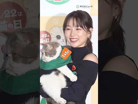 桜井日奈子、“シゴデキ”猫店長に感動！？shorts 桜井日奈子 猫 サムネイル
