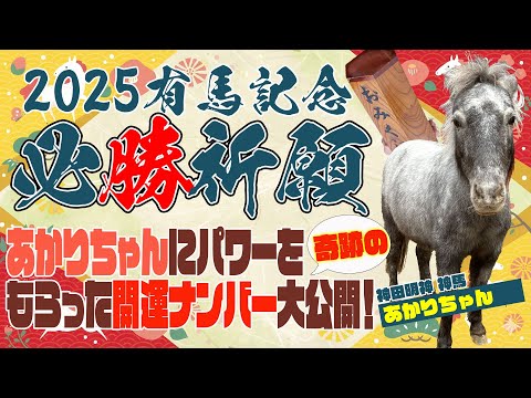 必見！神田明神の神馬・あかりちゃんにパワーをもらって有馬記念必勝祈願！勝てる幸運の番号は！？ サムネイル