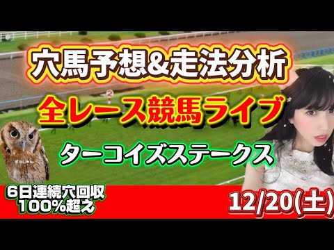 【競馬】 勝ち馬見つかる 穴馬予想  全レース競馬予想 サムネイル