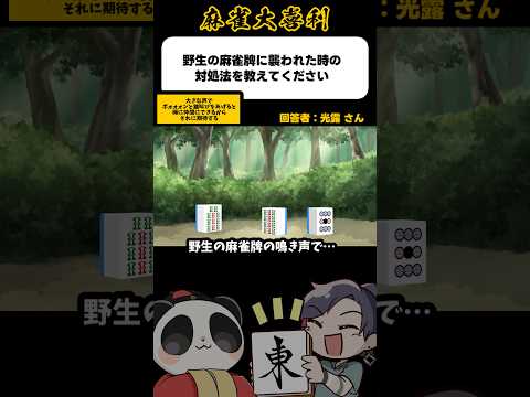 《大喜利》野生の麻雀牌に襲われた時の対処法を教えてください→ポオオオオン！【麻雀大喜利】shorts 大喜利 雀魂 サムネイル