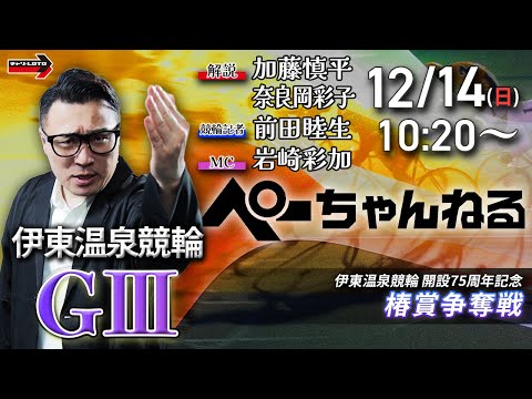 チャリロト公式競輪番組 加藤慎平の「ぺーちゃんねる」12/14(日)【最終日】伊東温泉競輪 椿賞争奪戦 [ＧⅢ] サムネイル