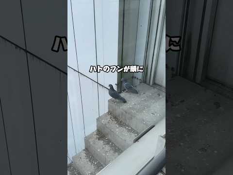 これしってた？🤔 サムネイル