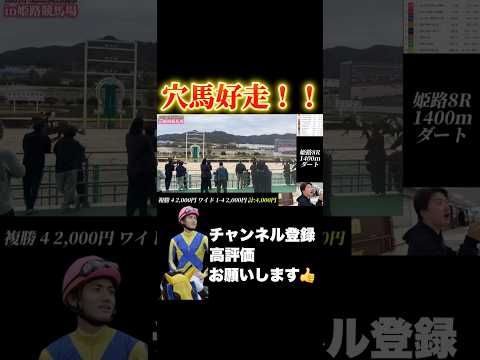 【競馬】姫路競馬場で穴馬から攻める！弥生賞 金鯱賞 スプリングステークス サムネイル