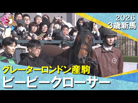 人気に応えてビービークローサーが完勝！坂井騎手「いい形で勝たせることができました」2026年1月10日(土)３歳新馬… サムネイル