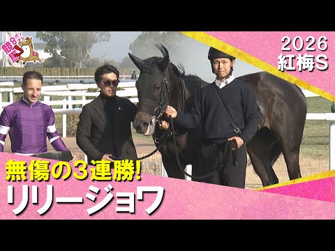 【リリージョワが無傷の３連勝！】2026年紅梅ステークス　実況：川島壮雄【カンテレ公式】 サムネイル