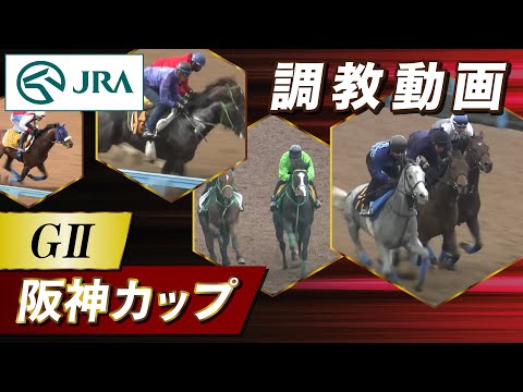 【調教動画】2025年 阪神カップ｜JRA公式 サムネイル