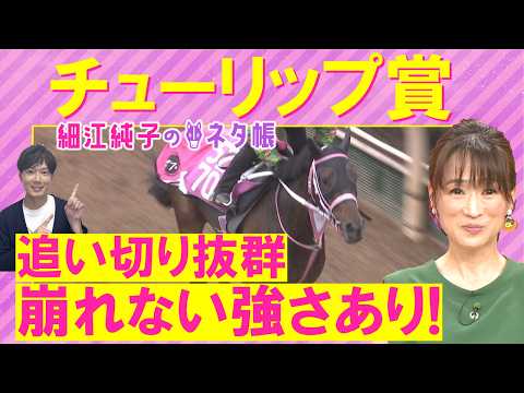 【１０週連続注目馬が激走中！】アランカール、タイセイボーグ、ソルパッサーレ・・・チューリップ賞(ＧⅡ)を元ジョッキーの… サムネイル