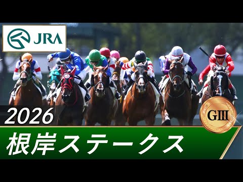 2026年 根岸ステークス（GⅢ） | 第40回 | JRA公式 サムネイル